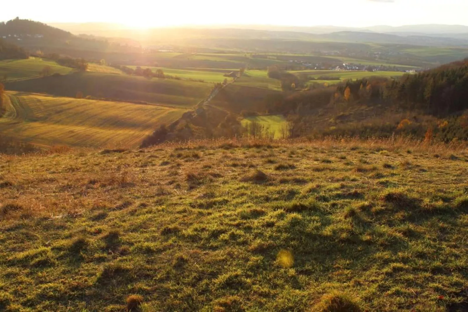 Ferienwohnung Gisela-Gebieden zomer 20km