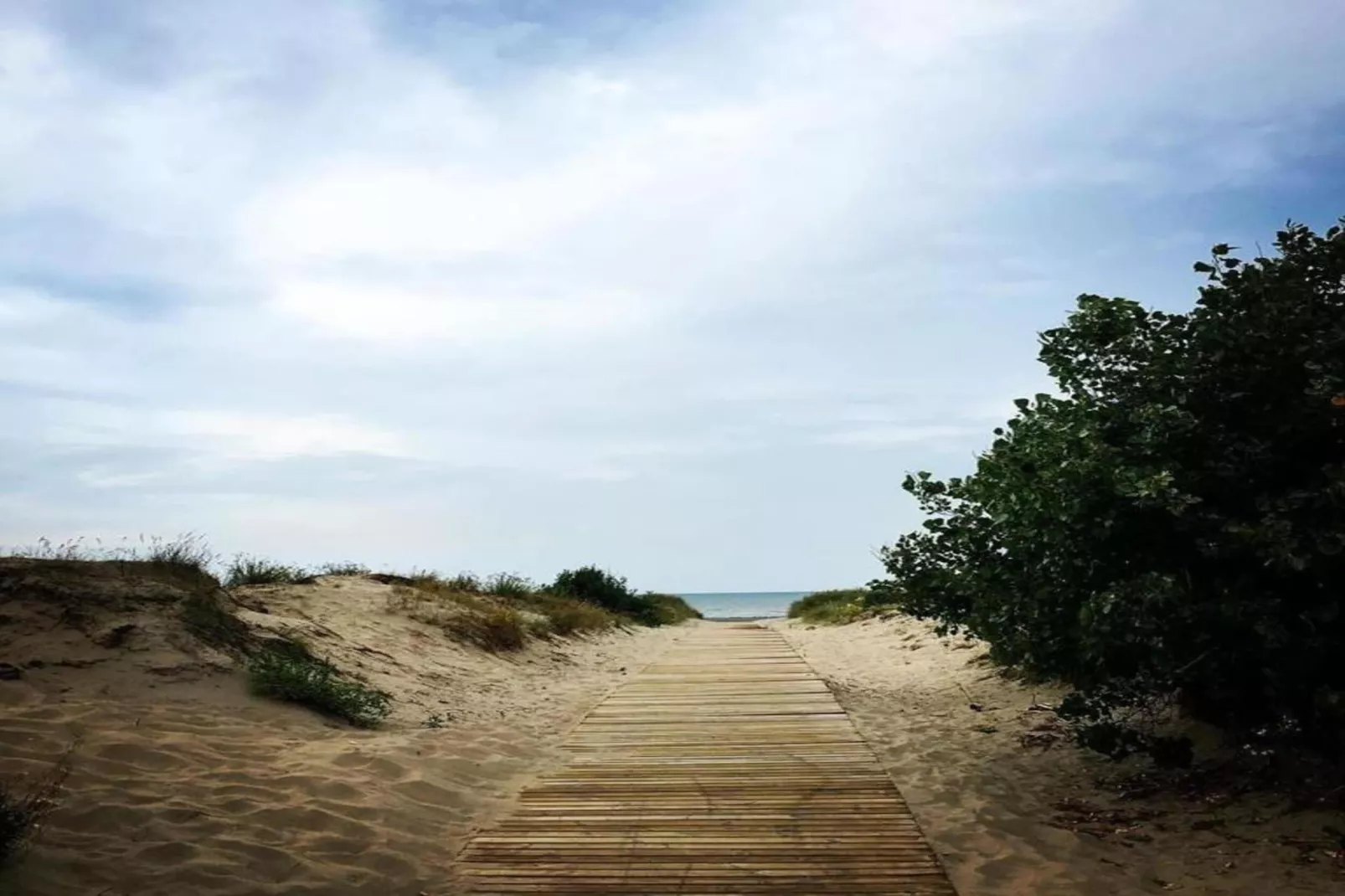 SPINNAKER I 0205PARK-Gebieden zomer 20km