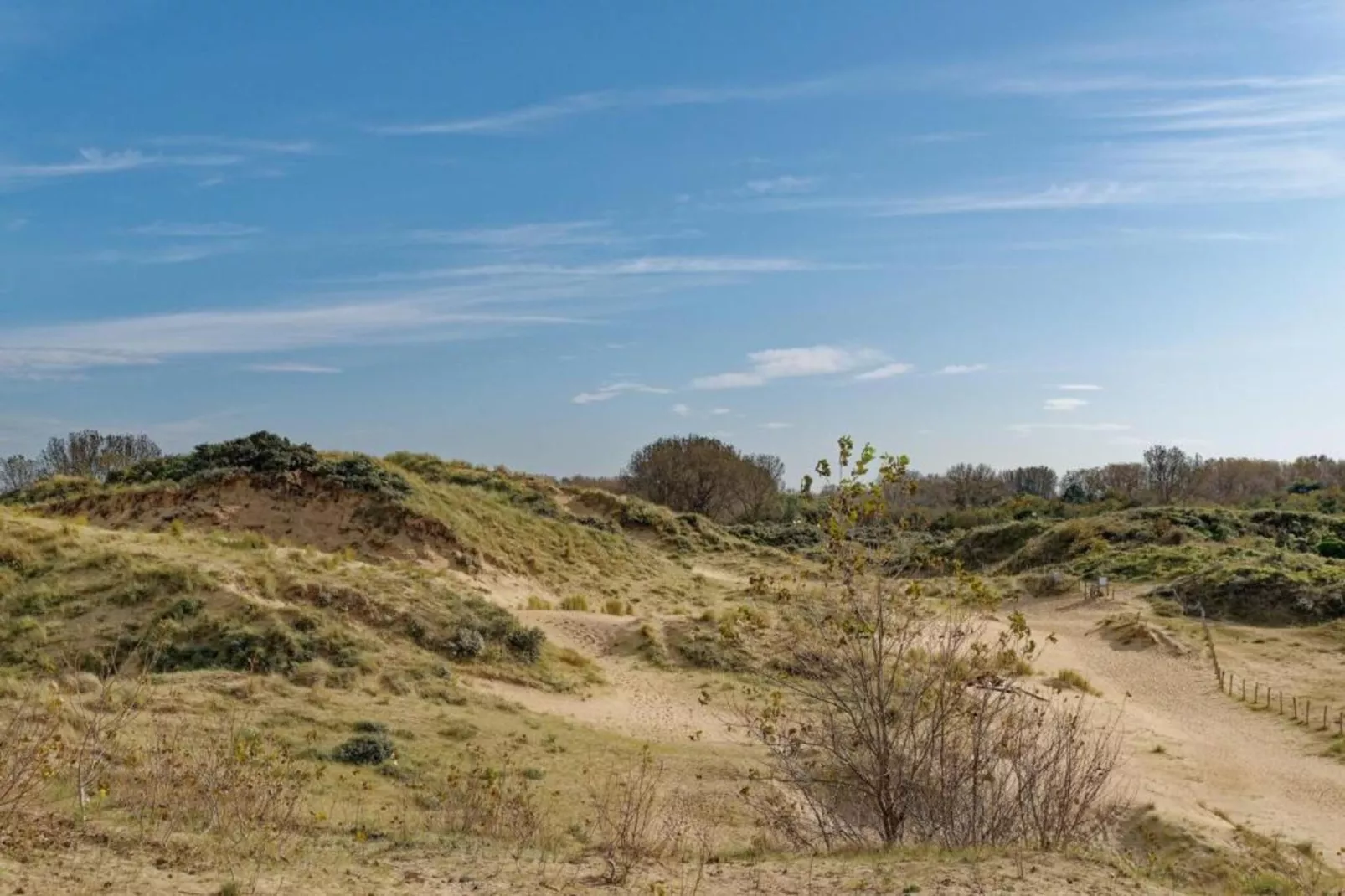 WESTDIEP 4/0701GAR-Gebieden zomer 20km