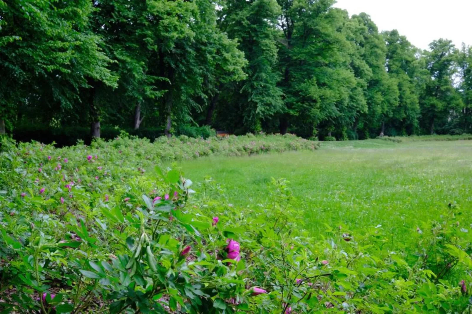 Hanoi Haus-Gebieden zomer 20km