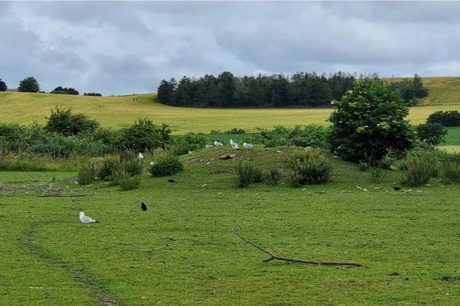 4 persoons vakantie huis in Grevinge-By Traum-Niet-getagd