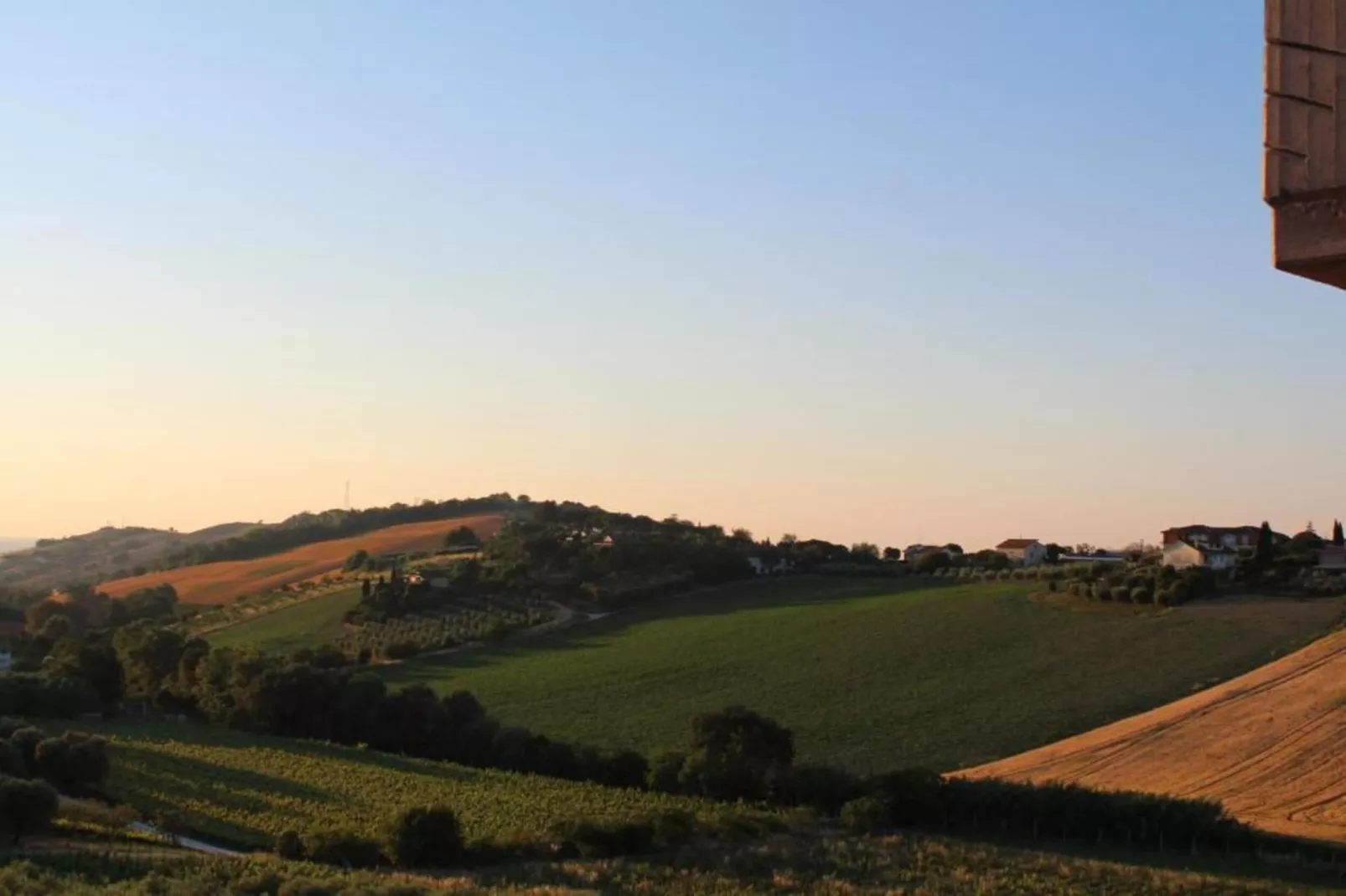 Olio-Gebieden zomer 20km