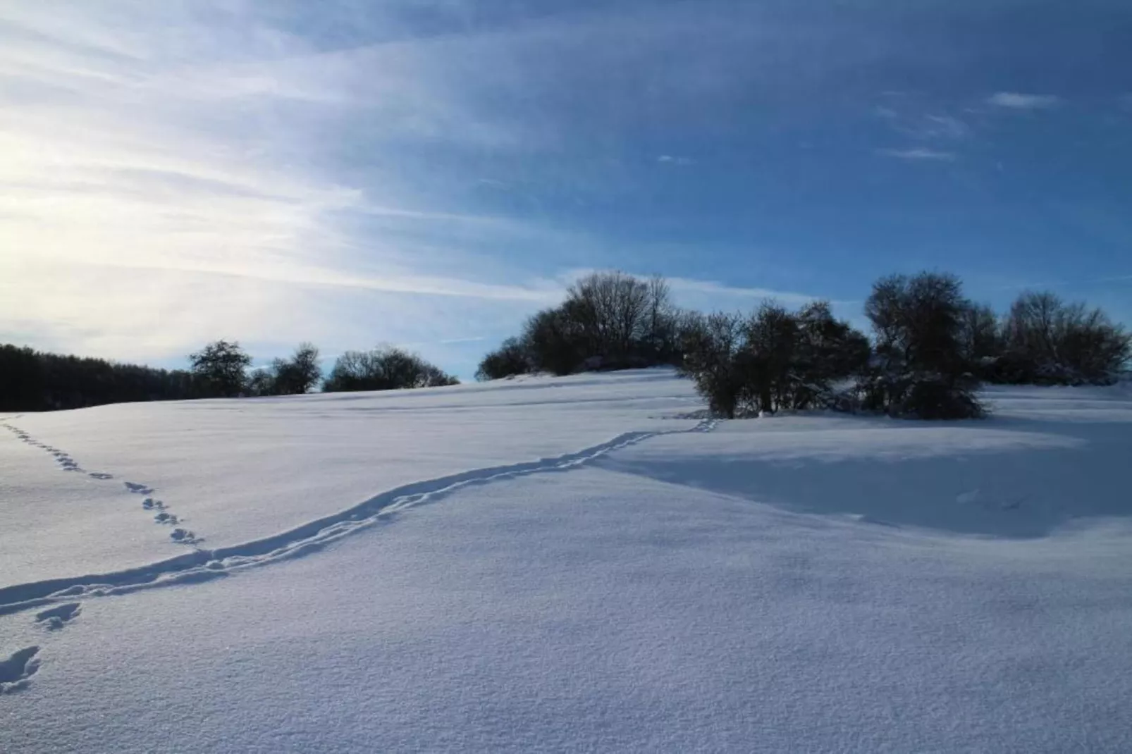 Ferienwohnung Thale-Gebied winter 5km