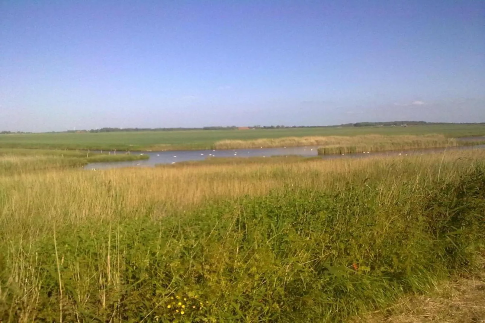 Heerlijkheid Vlietenburg 7-Gebieden zomer 20km