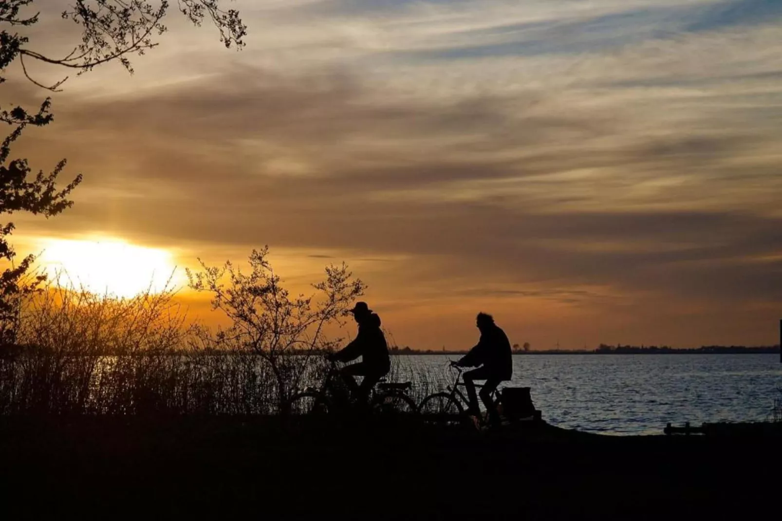 4-persoons bungalow Sondel 16-Gebieden zomer 5km