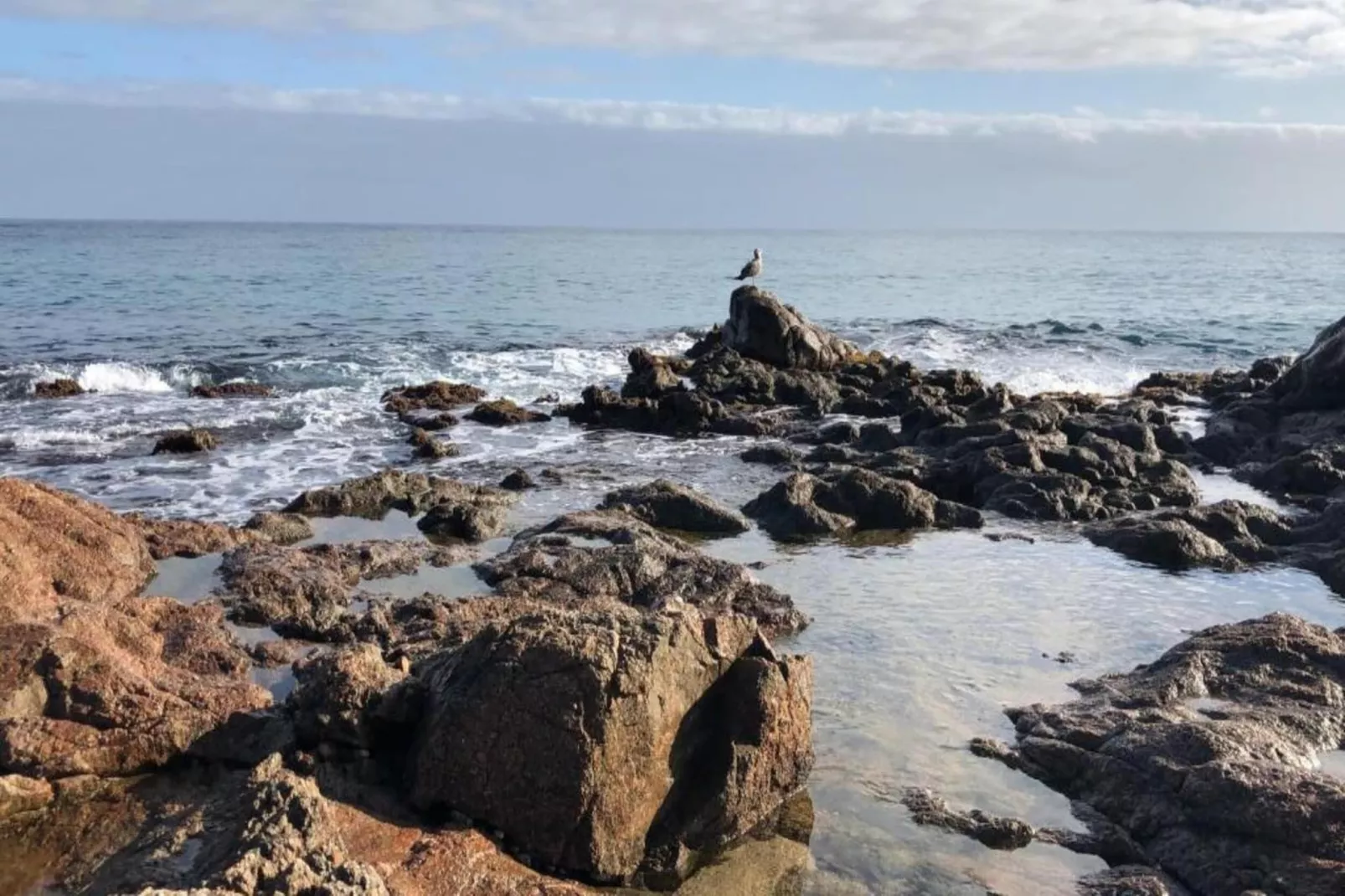 CAMPING INTERPALS- Bungalow Sa Riera-Gebieden zomer 1km