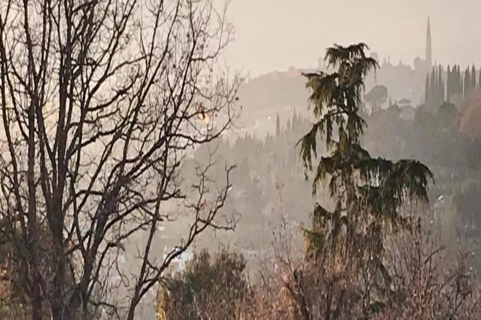 Abete-Gebieden zomer 20km