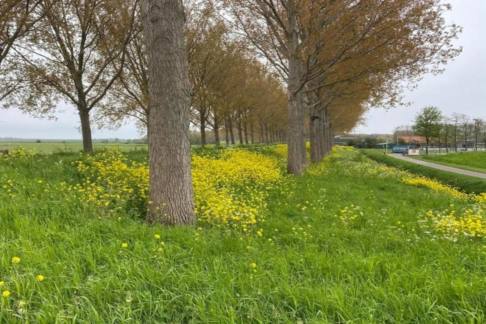Standaard 219-Gebieden zomer 20km