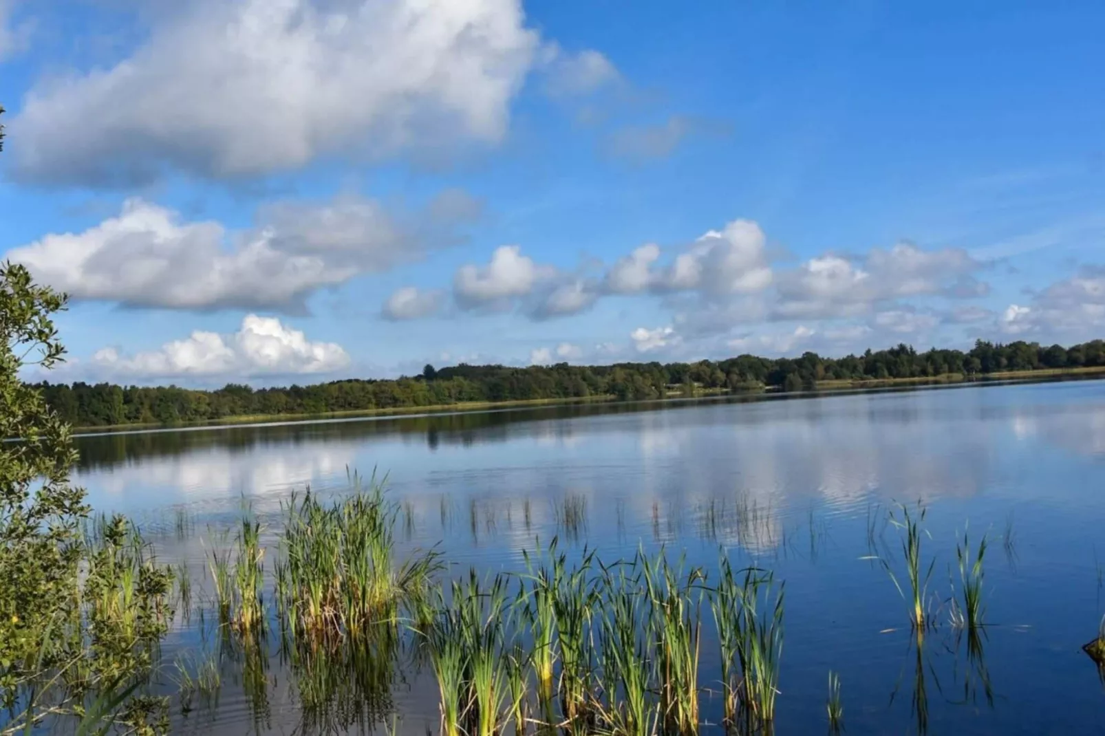 4 sterren vakantie huis in Ansager-Waterzicht