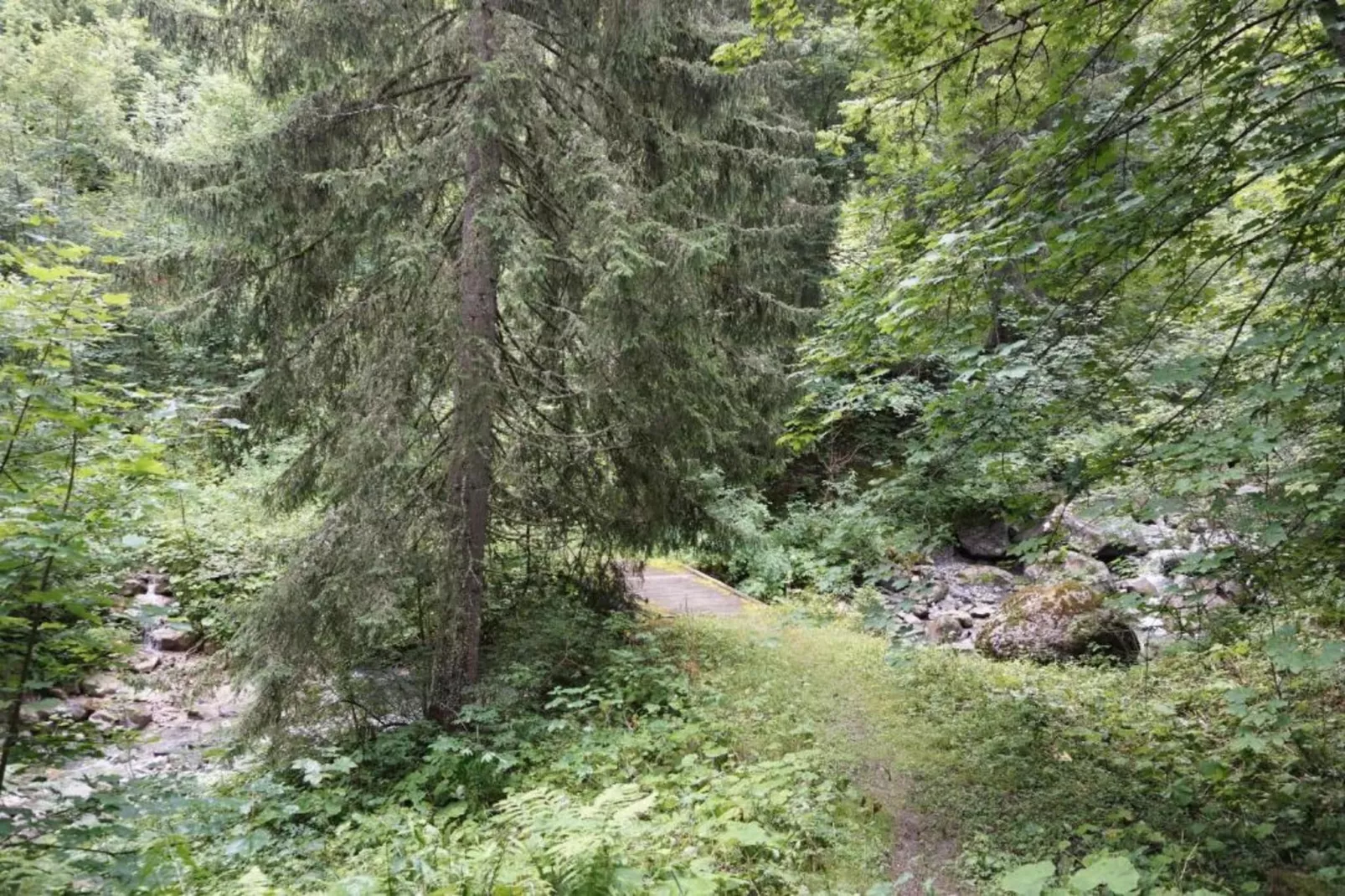 T du Morel A N°17 - 3P5-Gebieden zomer 20km