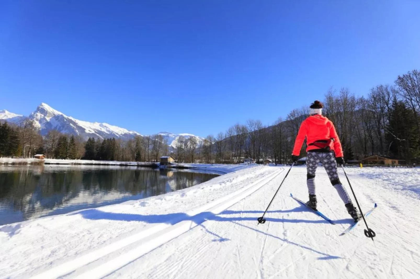 OURSONS 4 N°30 - 2P6-Gebied winter 20km