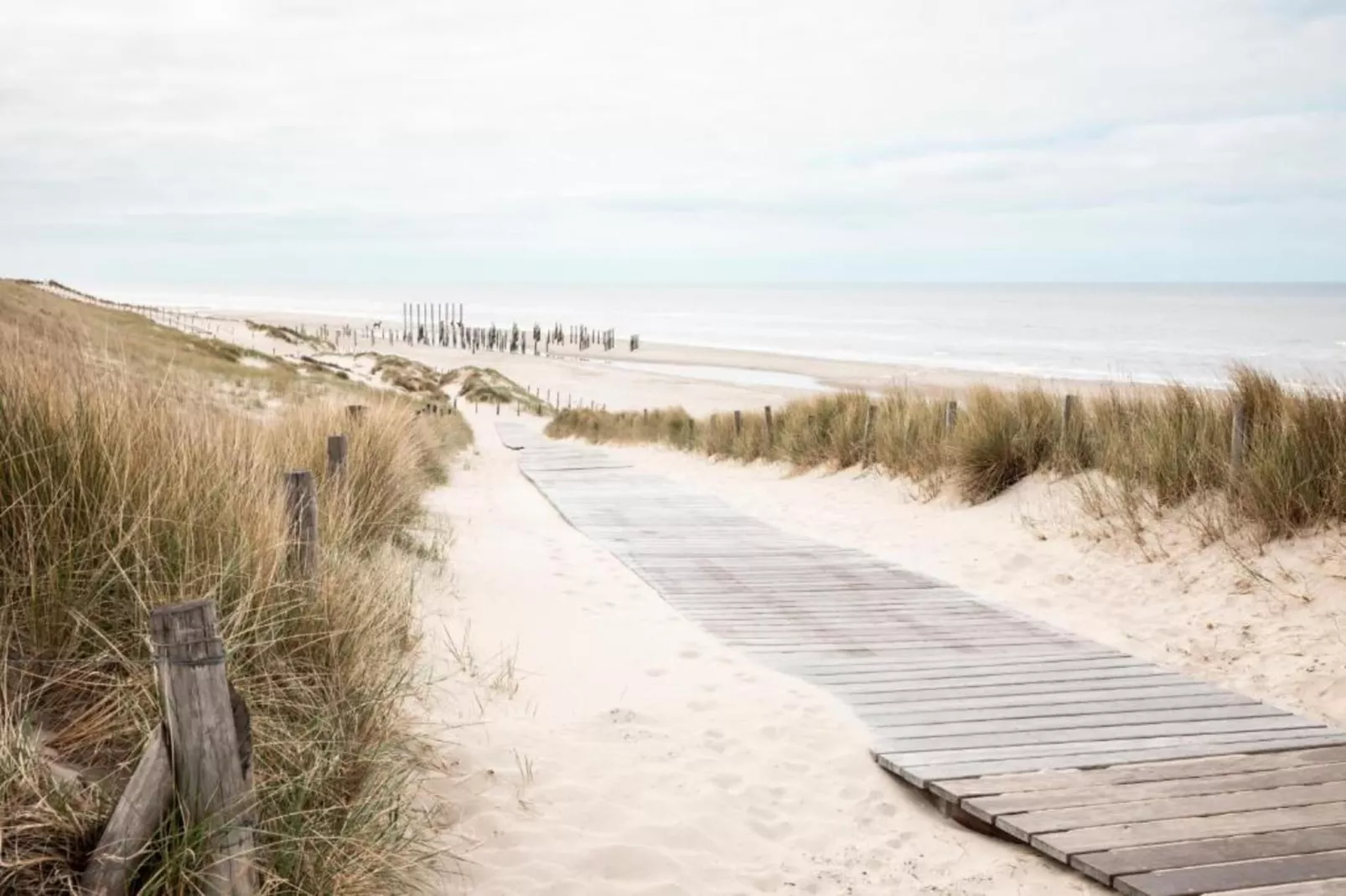De Schelp 21-Gebieden zomer 5km