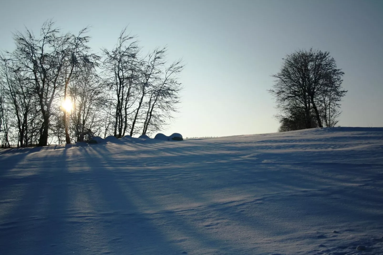 Zum wilden Jakob-Gebied winter 20km