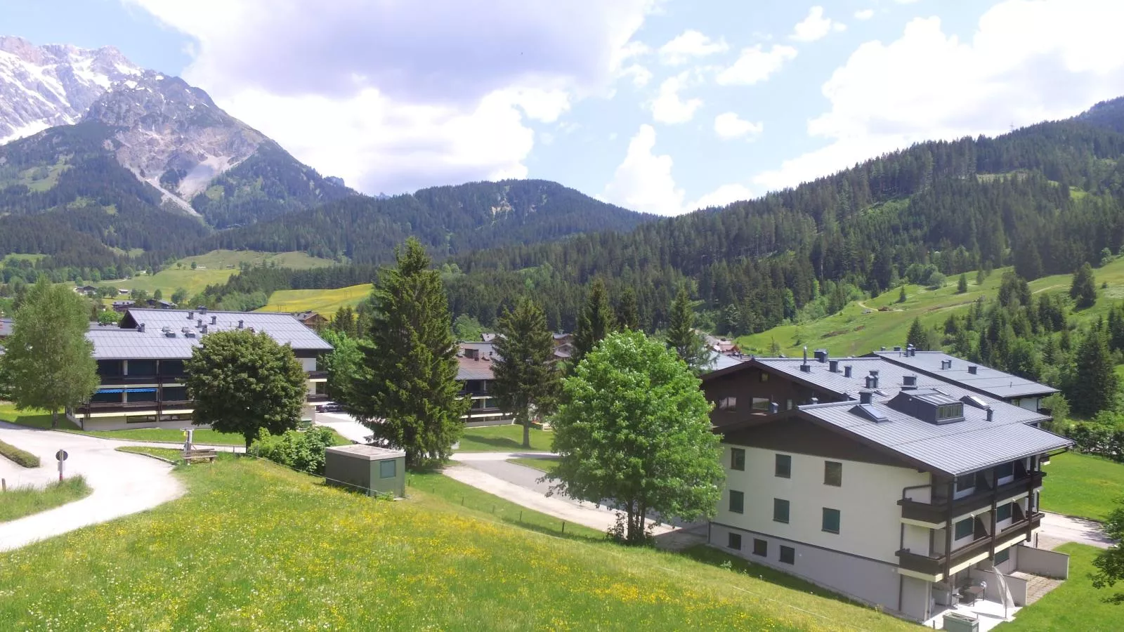 Alpenliebe-Gebieden zomer 1km