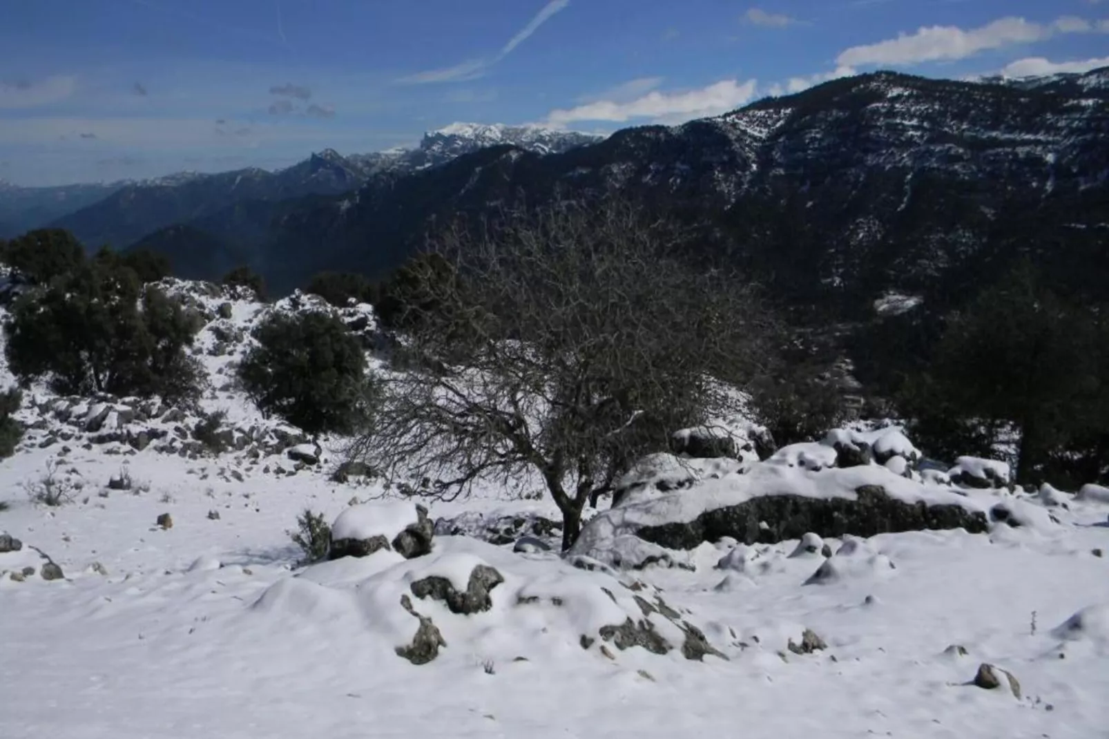 Apartamento Pals-Gebied winter 20km