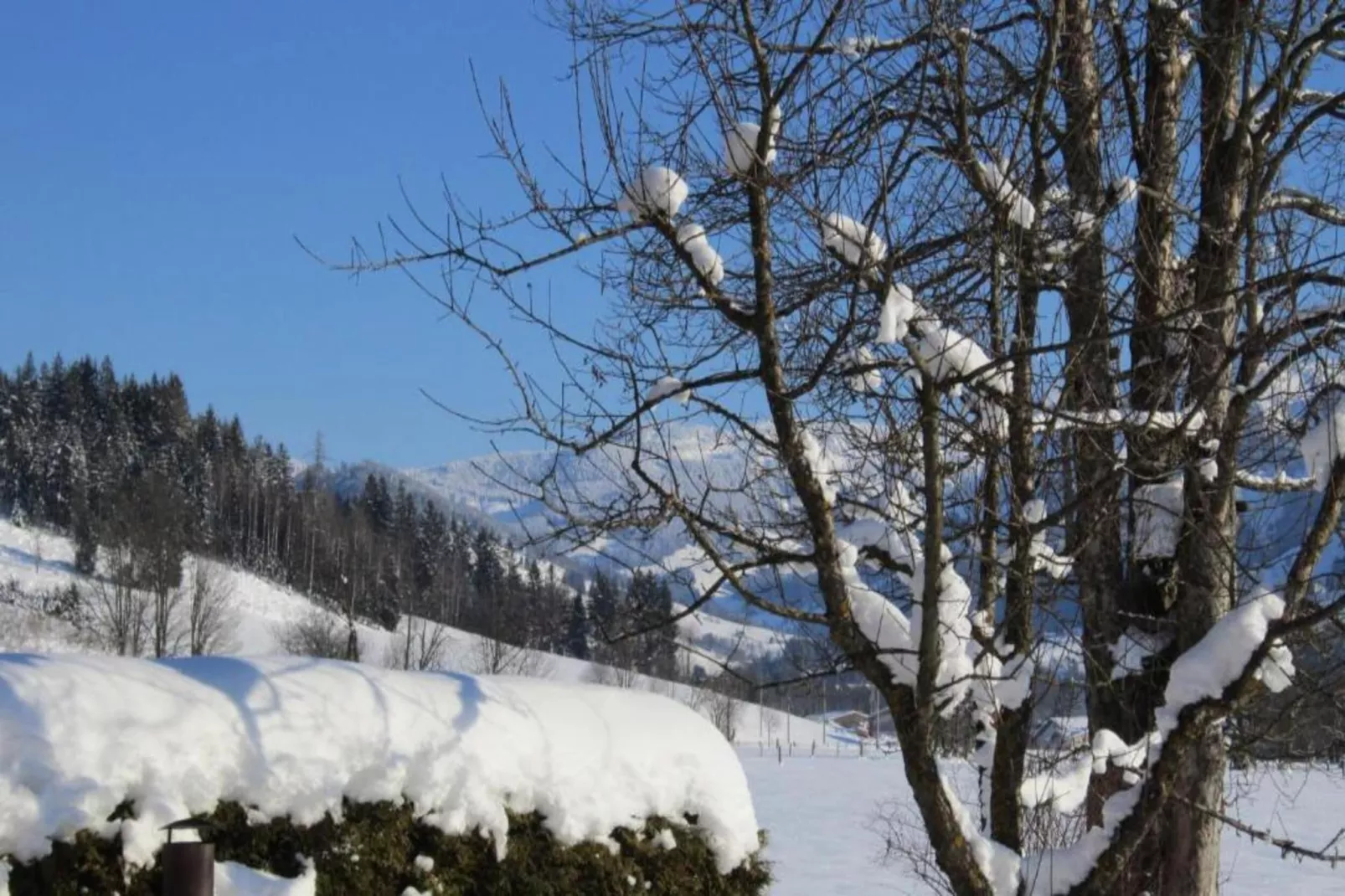 Doppelzimmer 6 - TAMARA in Saalfelden-Pinzgau-Gebied winter 20km