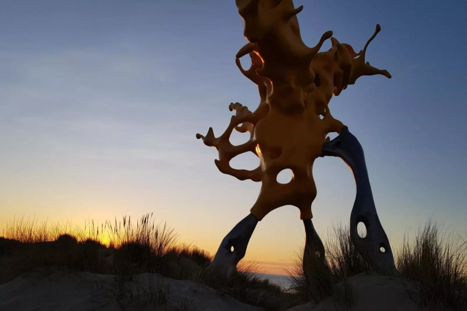 VIKING06 20803/ 8G-Gebieden zomer 20km