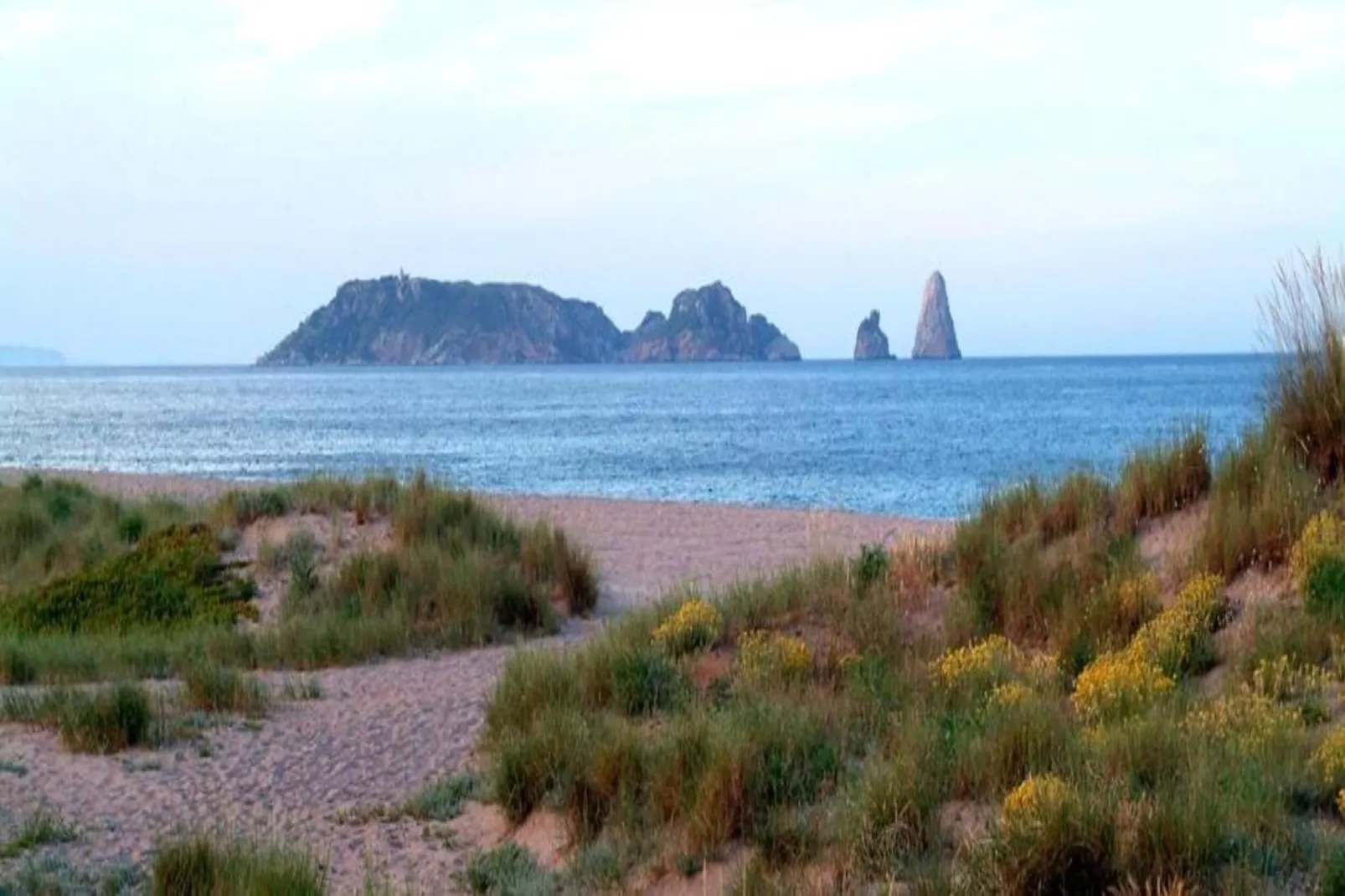 Arcos H1-Gebieden zomer 1km