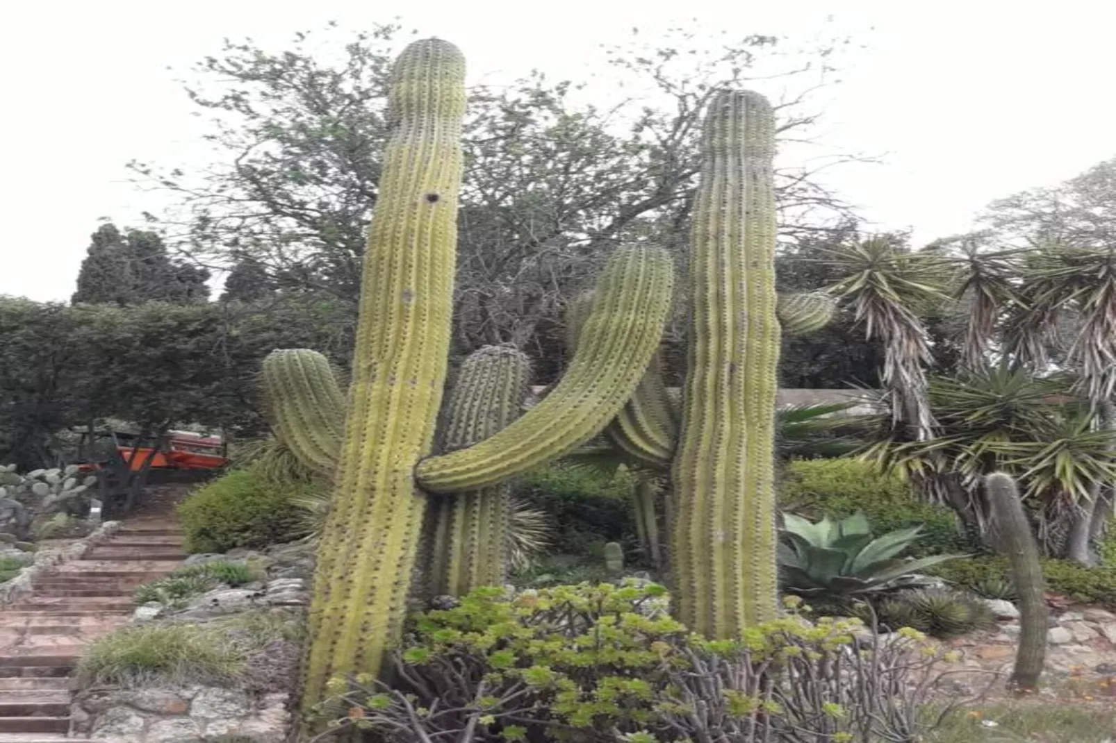 Agnes-Gebieden zomer 20km