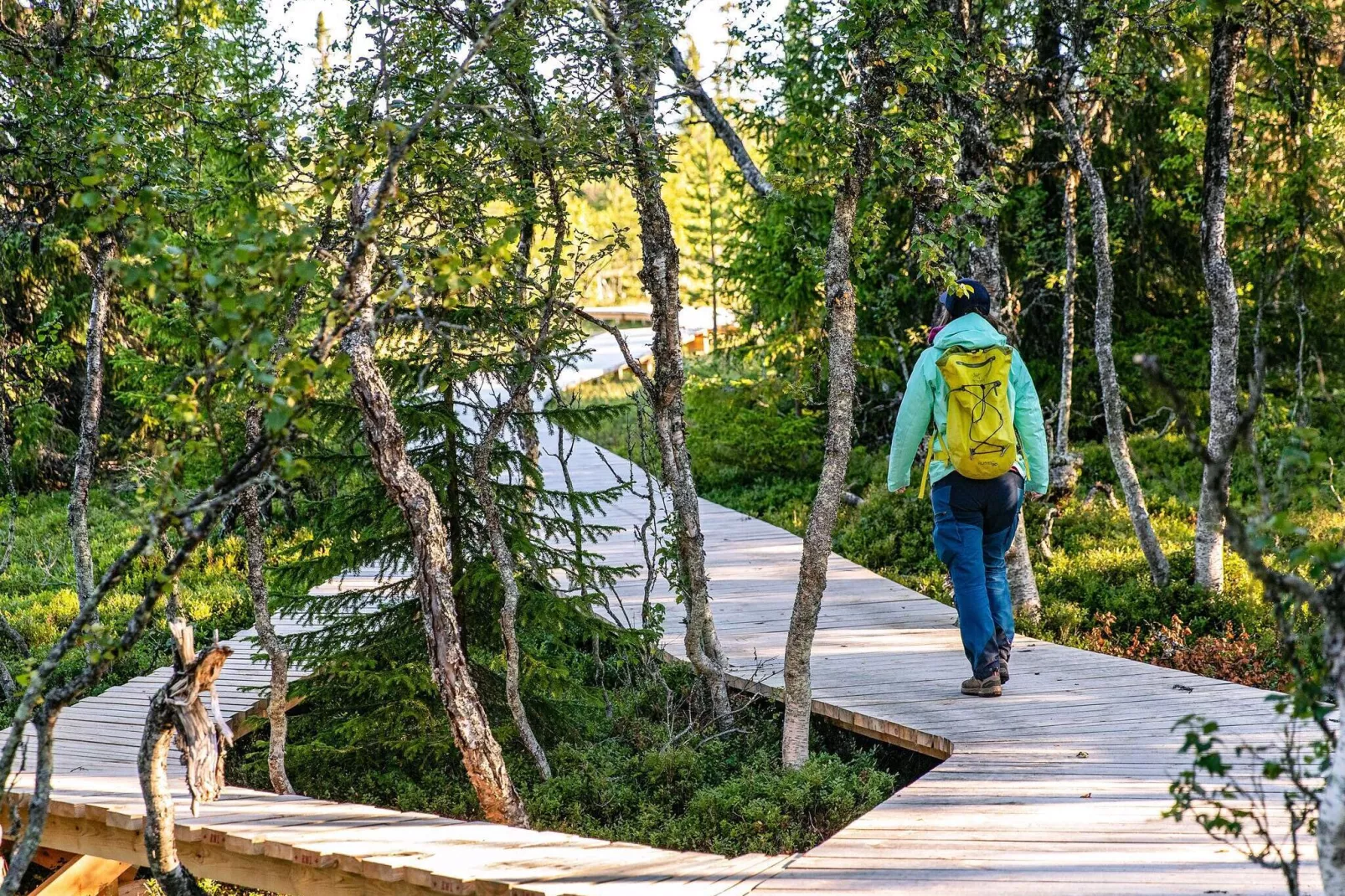 8 persoons vakantie huis in LOFSDALEN-Niet-getagd