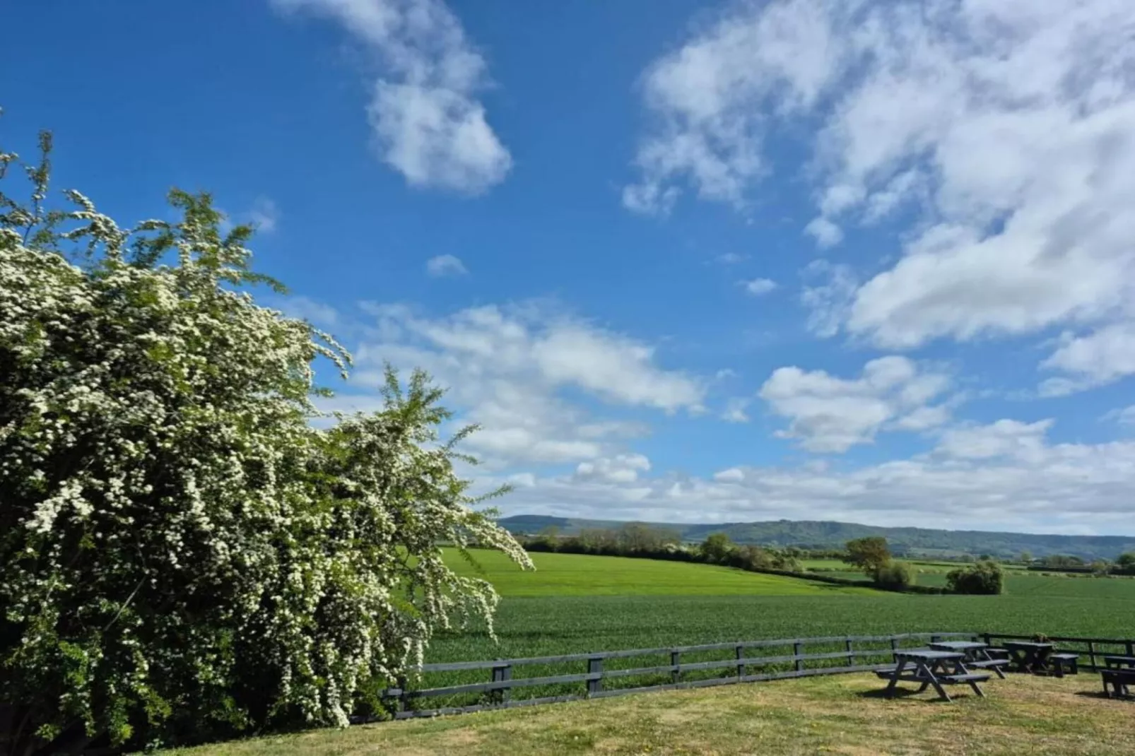 Ryedale Hall Cottage-Gebieden zomer 5km