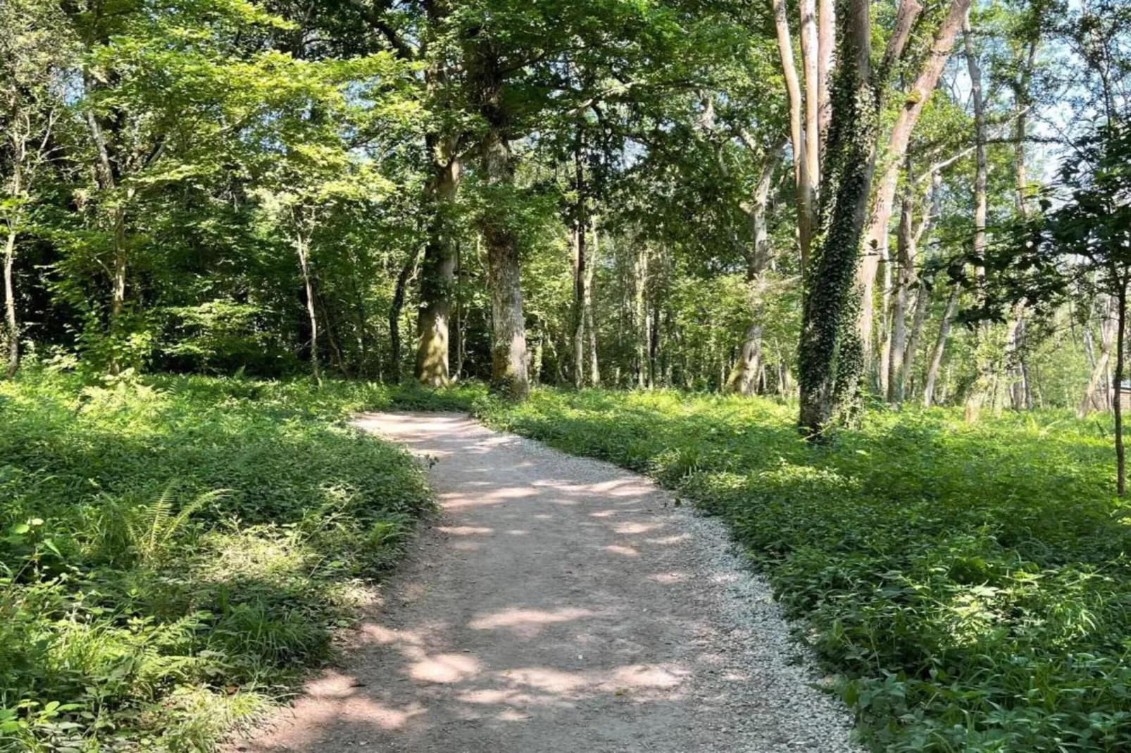 37 Bro Enddwyn-Gebieden zomer 5km