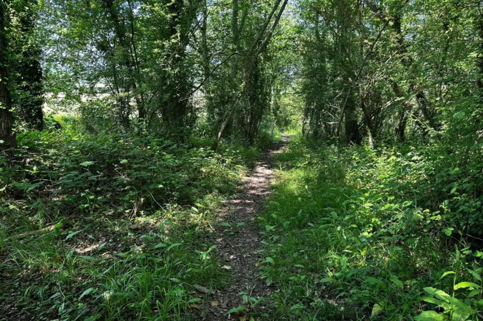 South Downs Lodge-Gebieden zomer 20km