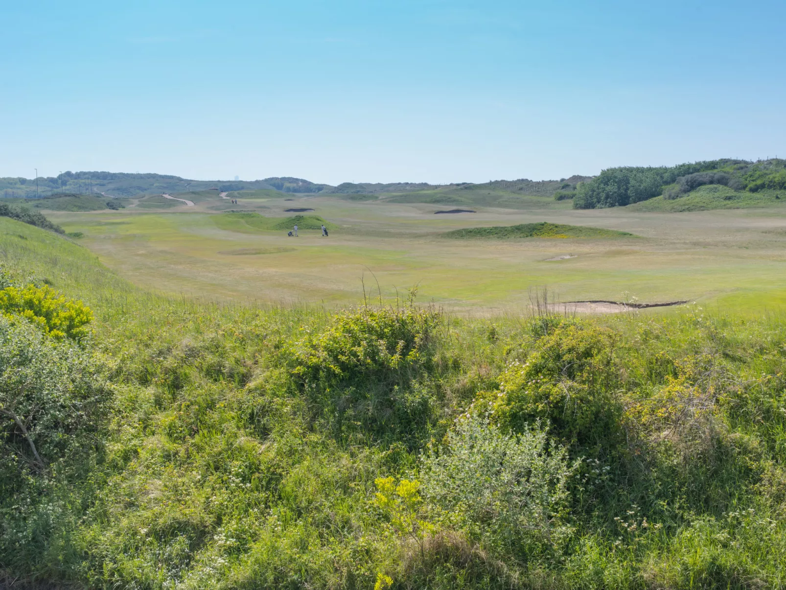 Royal Golf Gardens-Buiten