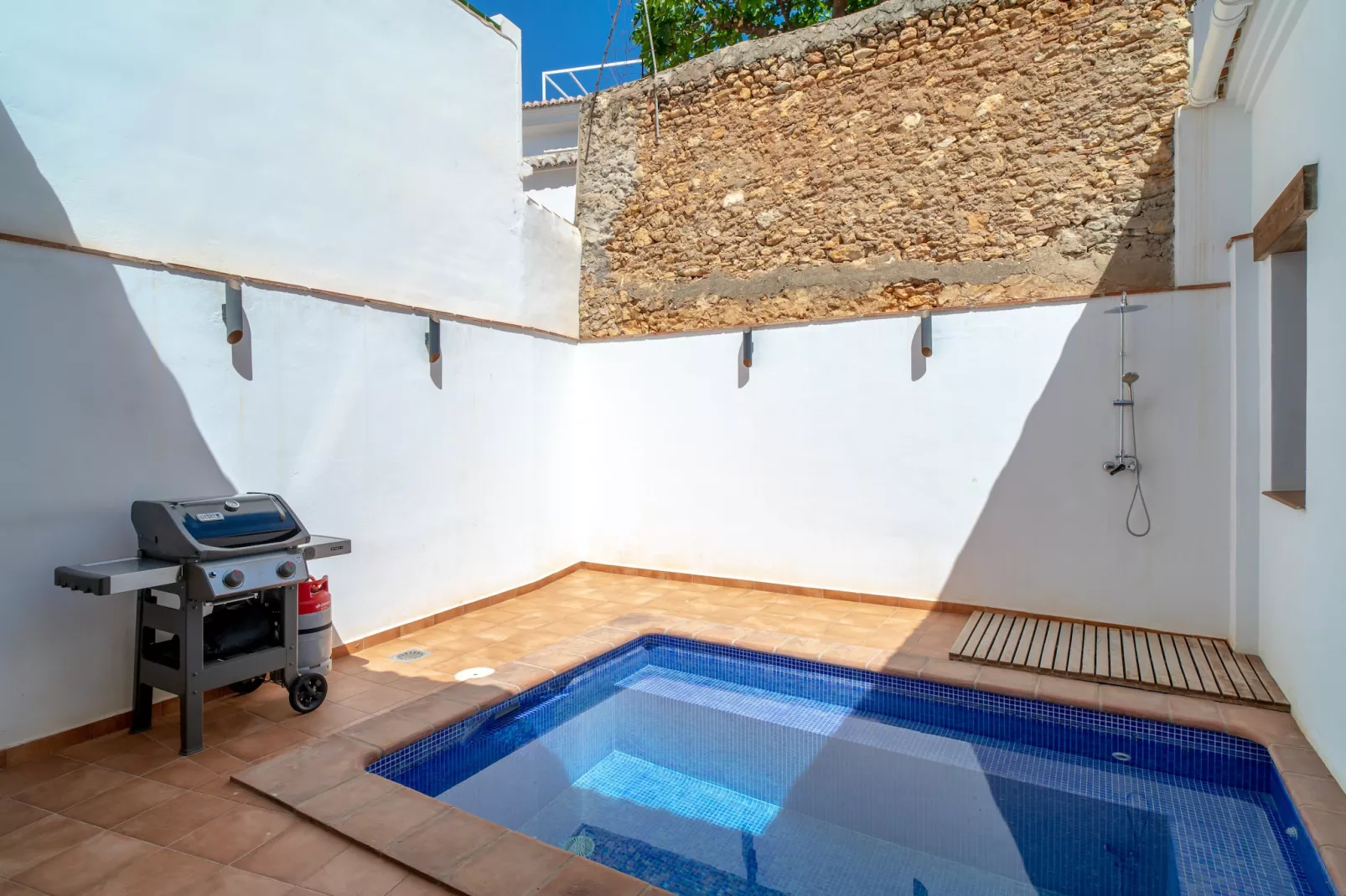 Casa Paraiso Andaluz Deluxe by Casasol-Zwembad