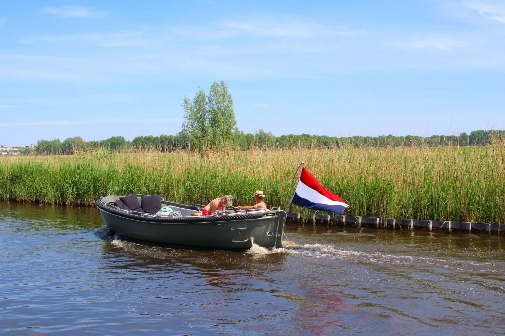 Kleine Vliet-Gebieden zomer 1km