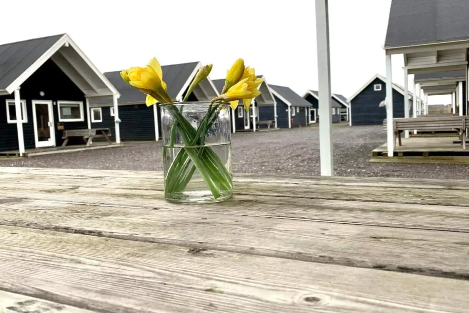 4 sterren vakantie huis in Thyborøn - Buitenlucht