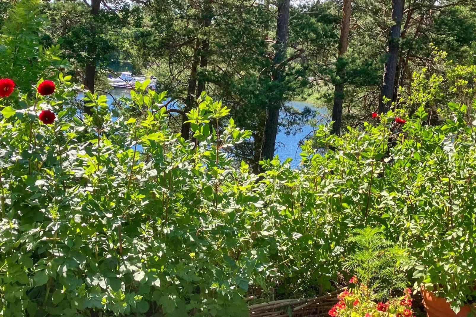 6 persoons vakantie huis in DJURHAMN-By Traum-Buitenlucht