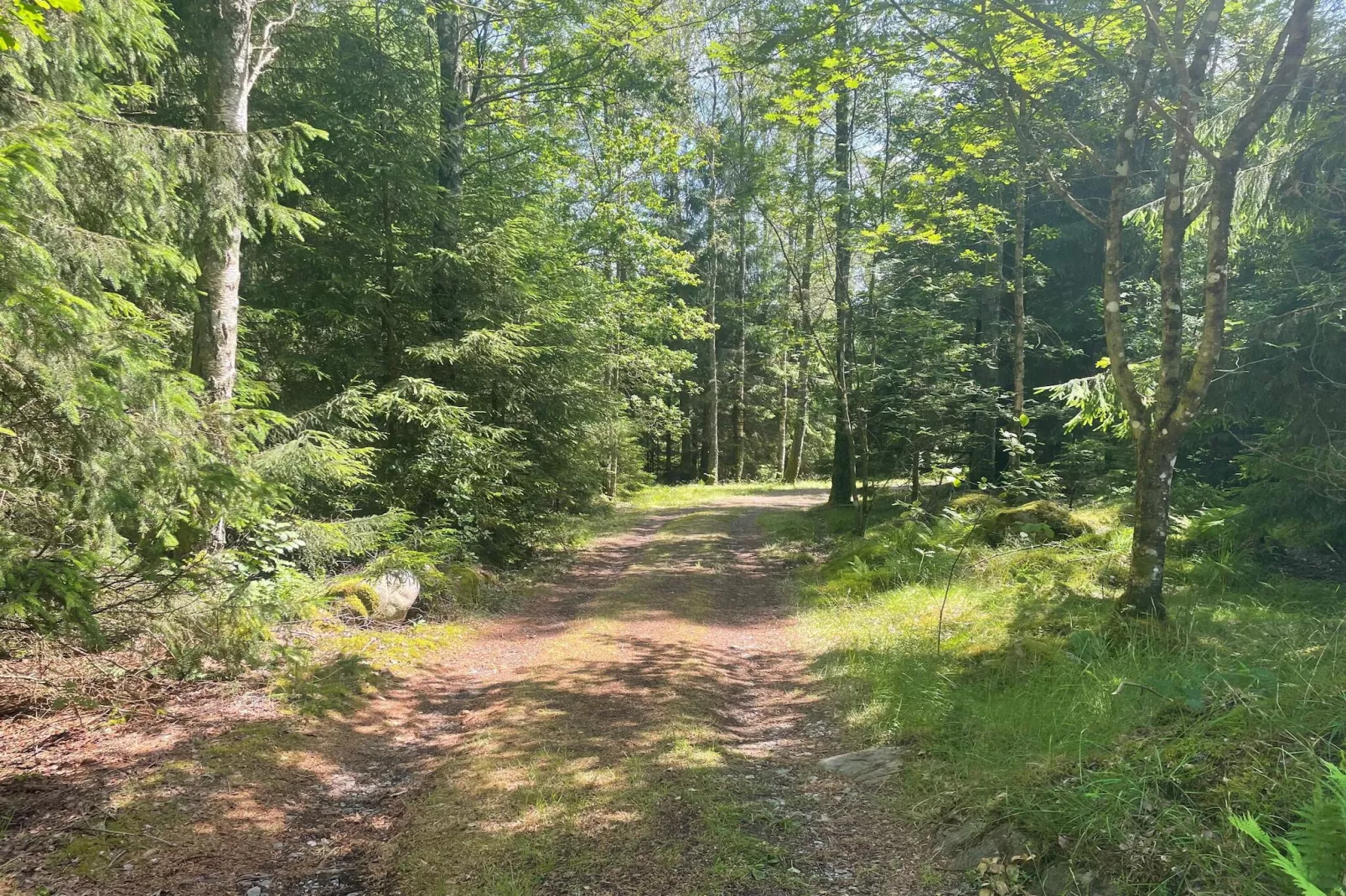 Rustige hut vlakbij het Furufjall-pad