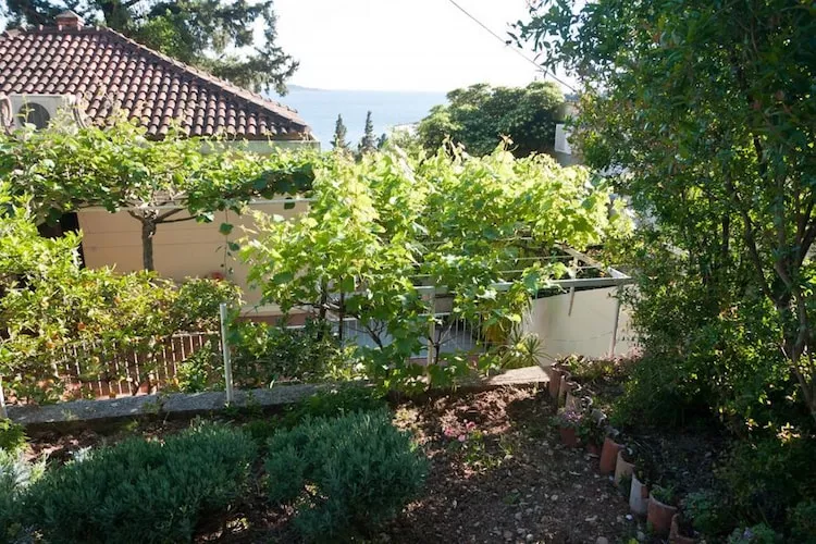 Guest House Villa Nina- Studio with Terrace and Partial Sea View (S5 - bungalov)-Tuinen zomer