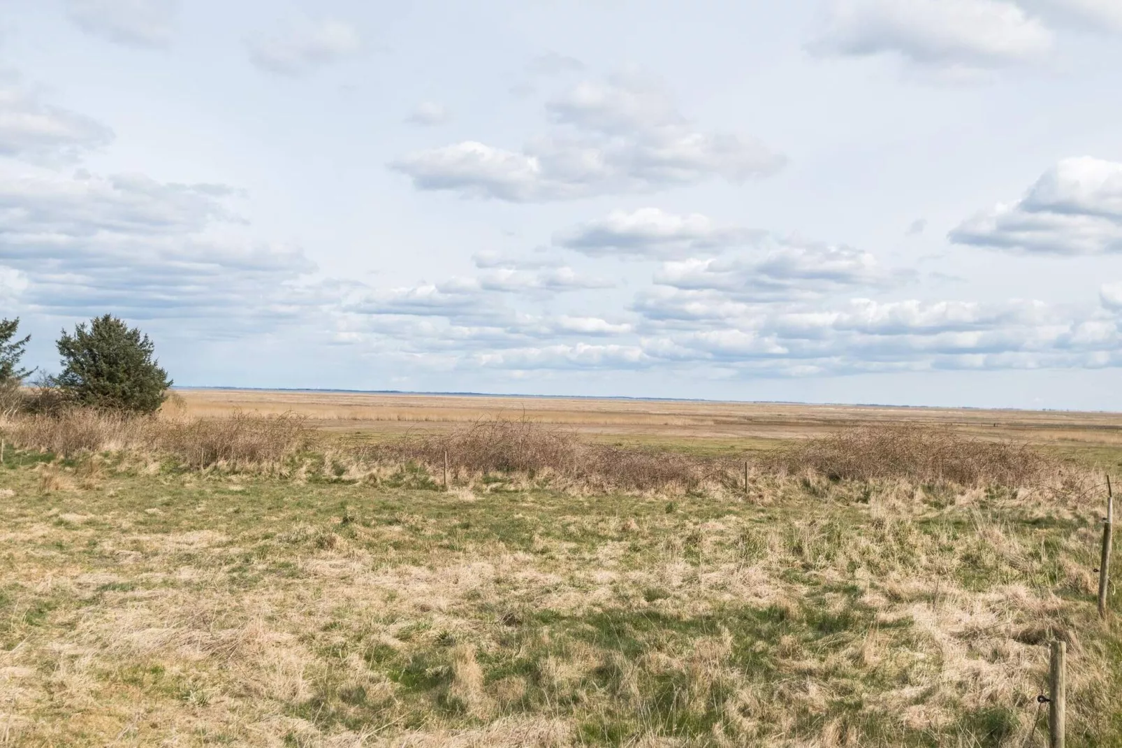 4 persoons vakantie huis in Fanø-Buitenlucht