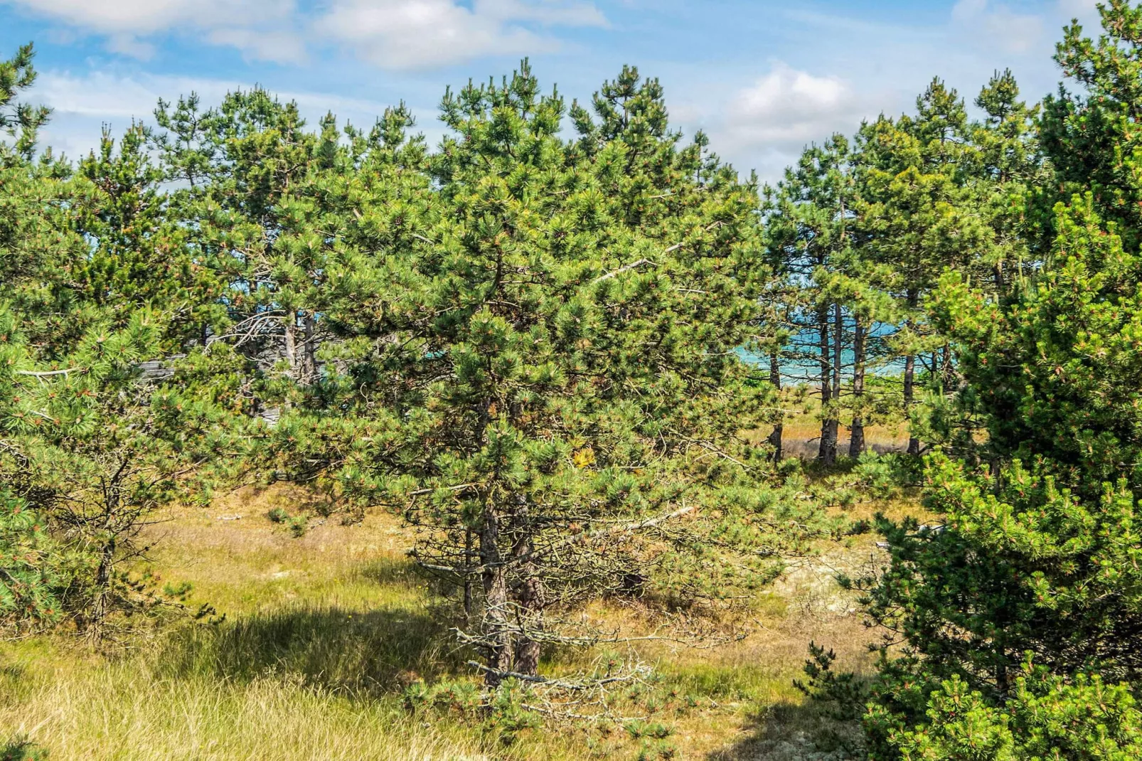 Kustsereniteit in Fjellerup-By Traum-Uitzicht