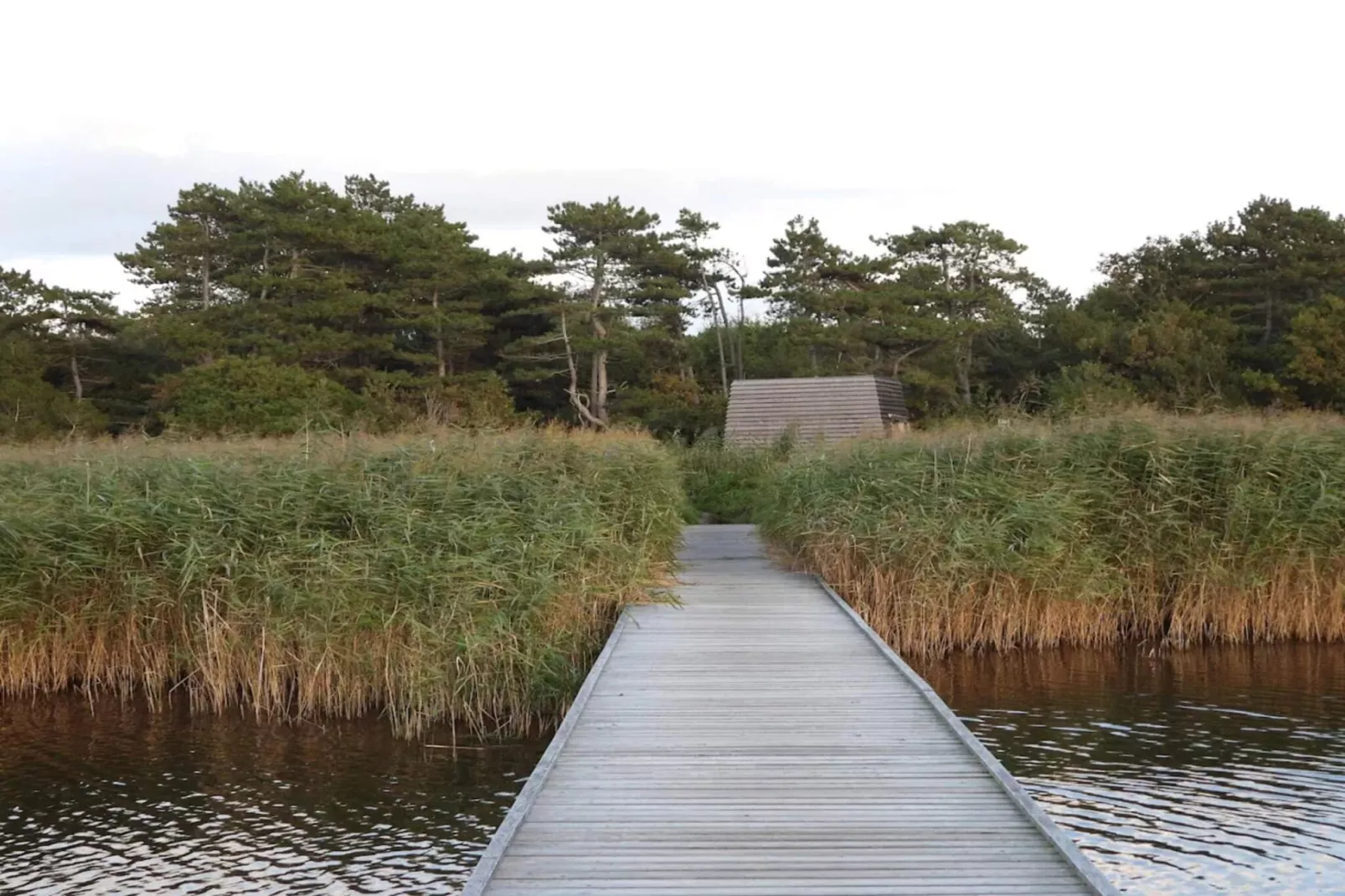 6 persoons vakantie huis in Vig-Waterzicht