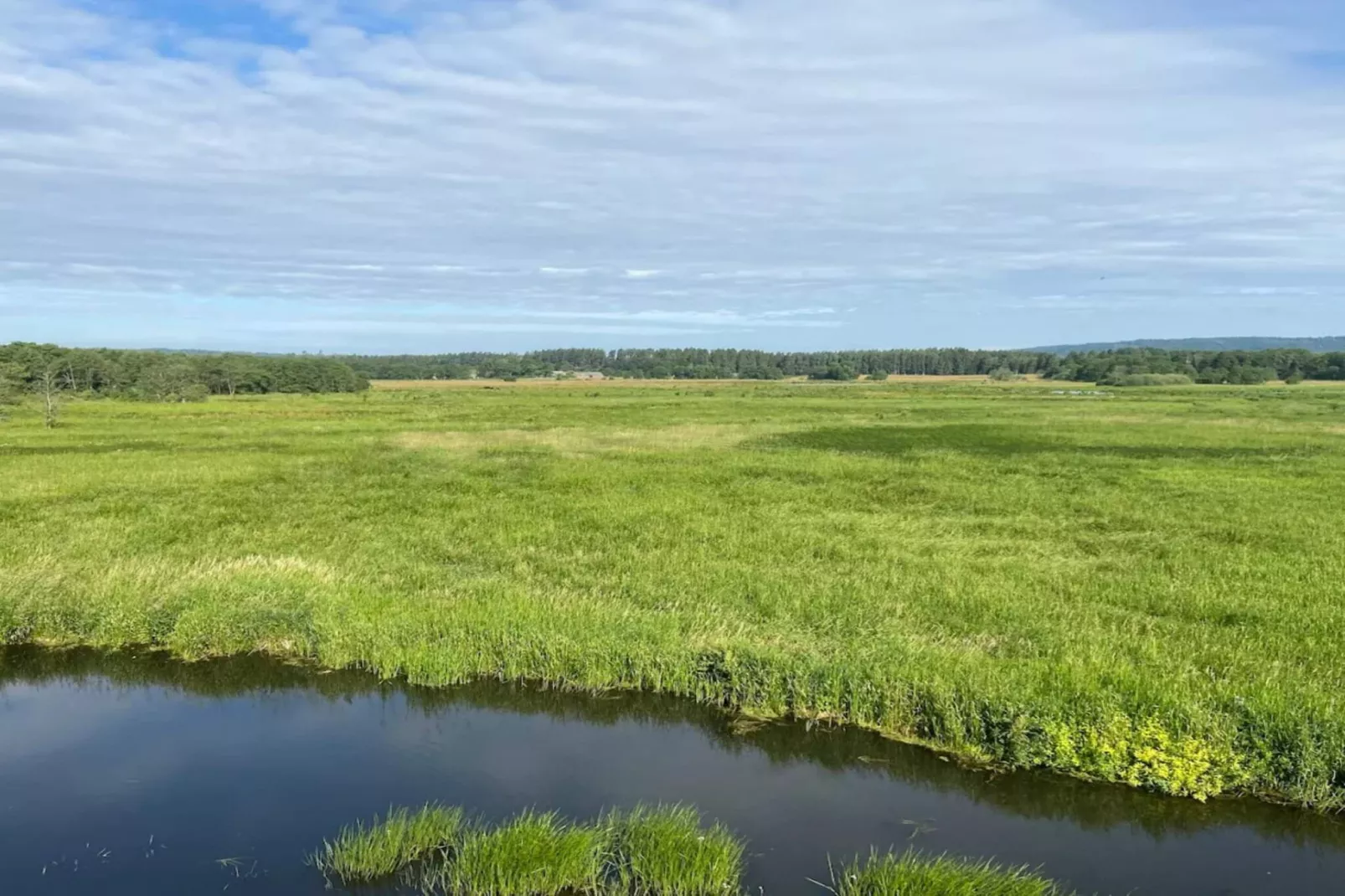Vakantiehuis aan het meer met bos-Waterzicht