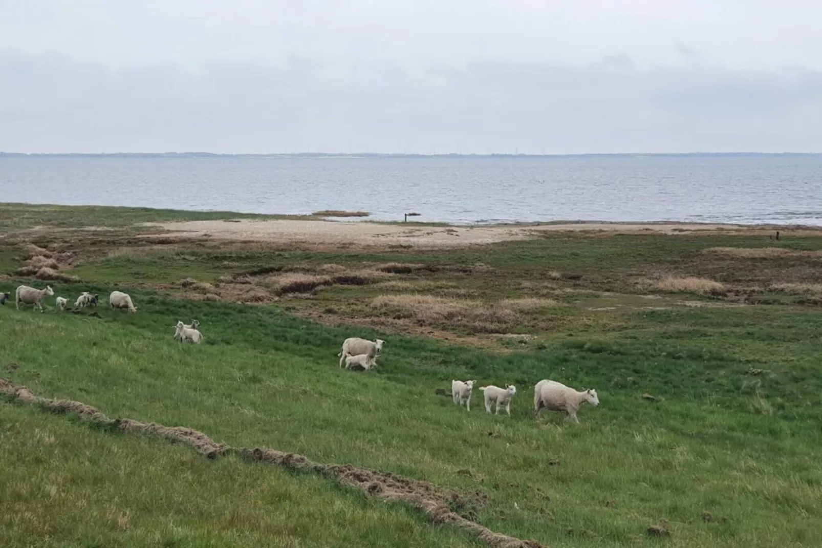 6 persoons vakantie huis in Rømø-By Traum-Waterzicht