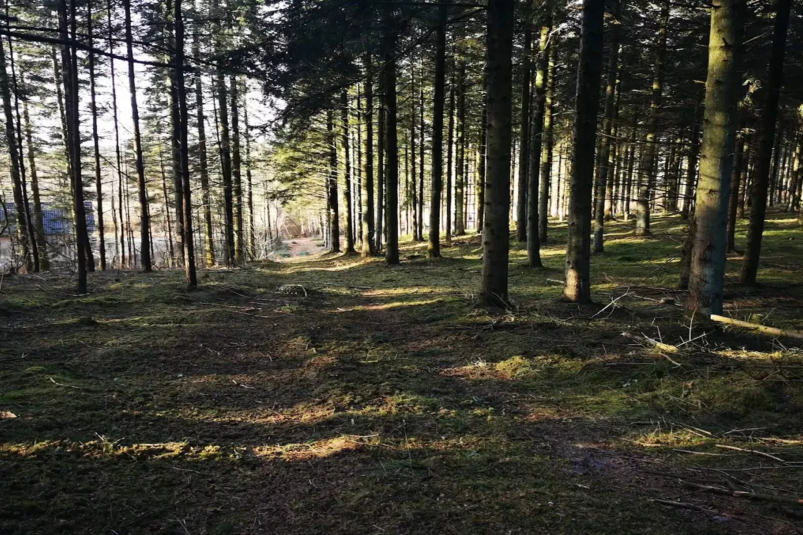 8 persoons vakantie huis in Løgstør-By Traum-Niet-getagd