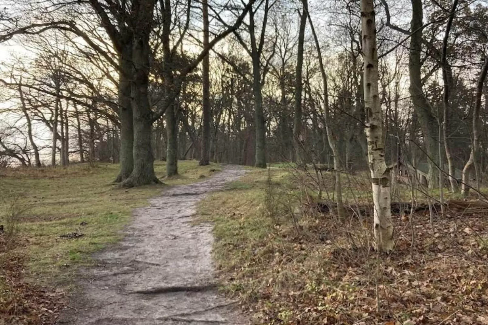 4 persoons vakantie huis in Faxe Ladeplads-Niet-getagd