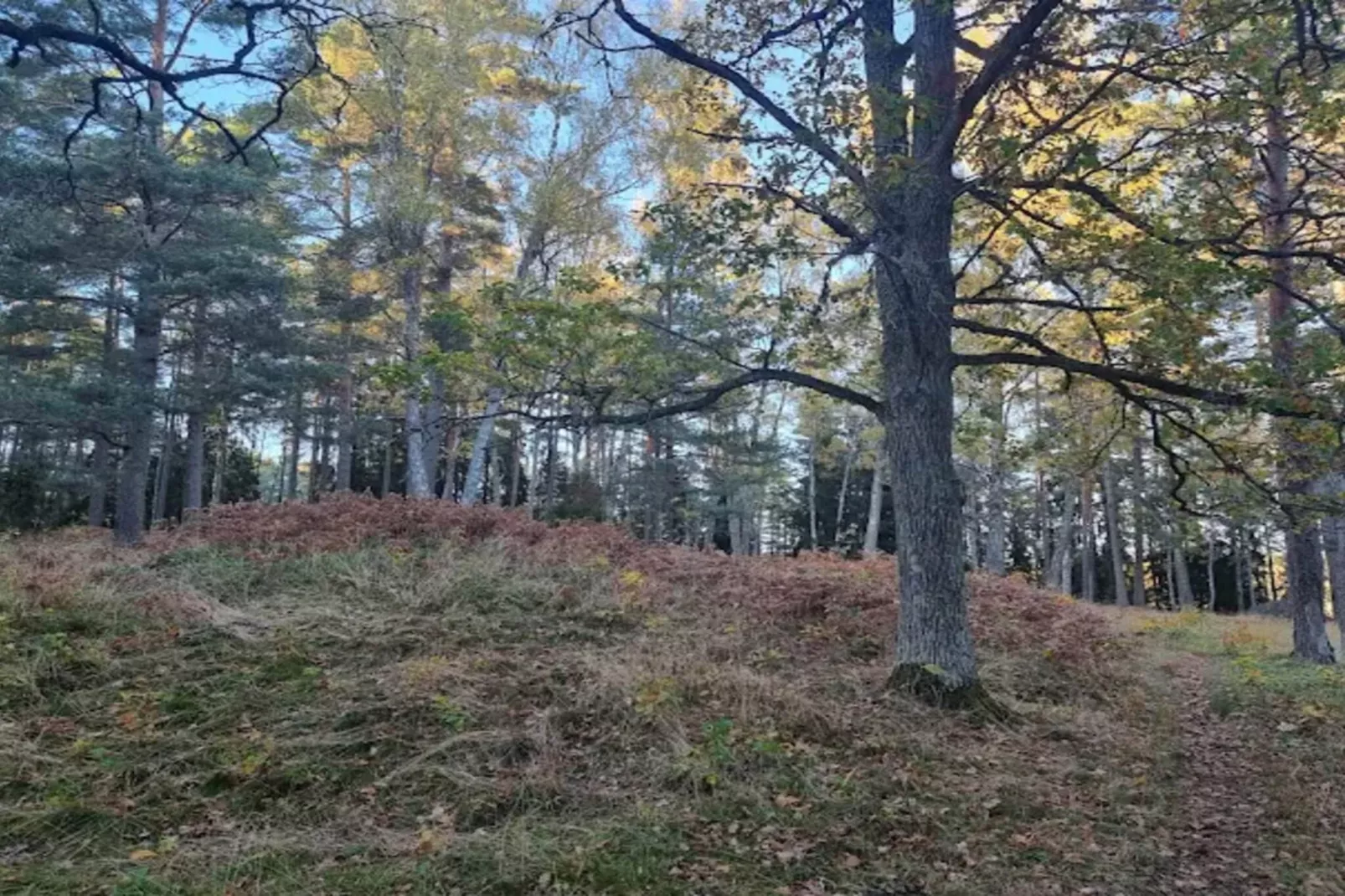 4 persoons vakantie huis in INGARÖ-By Traum-Niet-getagd