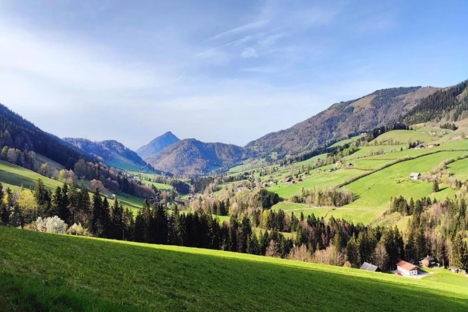 Ferienhaus Rieger-Gebieden zomer 20km
