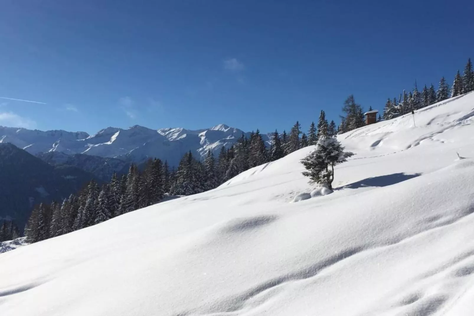 Oberkranzhof-Gebied winter 20km