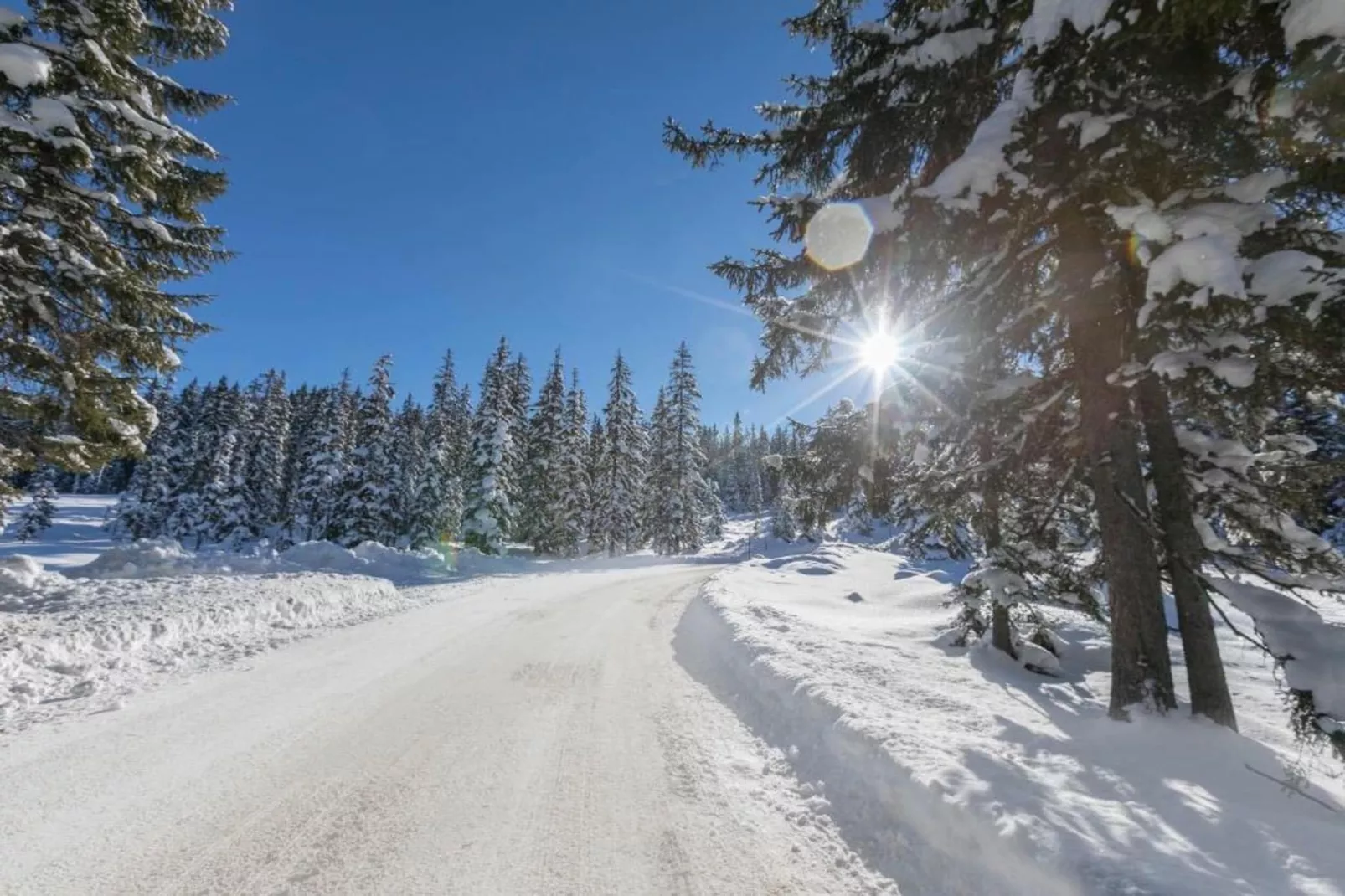 Oberkranzhof-Gebied winter 20km