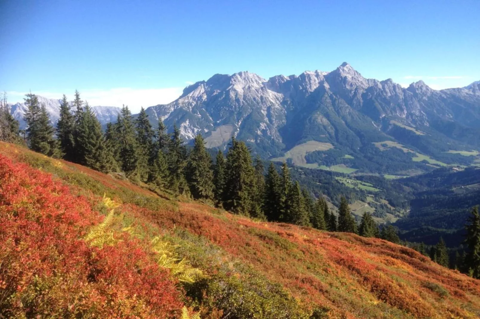 Chalet Schattberg-Gebieden zomer 20km