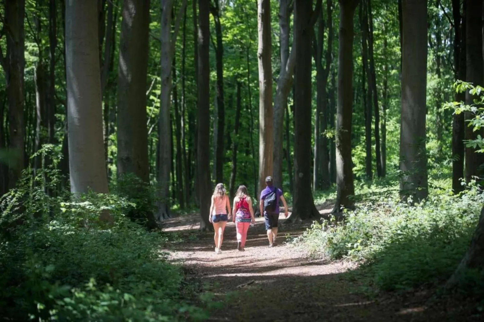Het Bloesemklooster-Gebieden zomer 20km