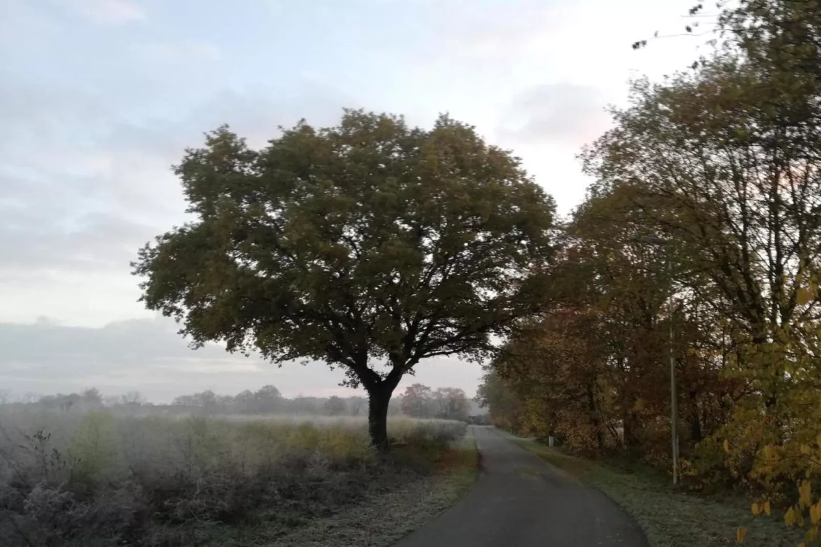 Broville-Gebieden zomer 20km