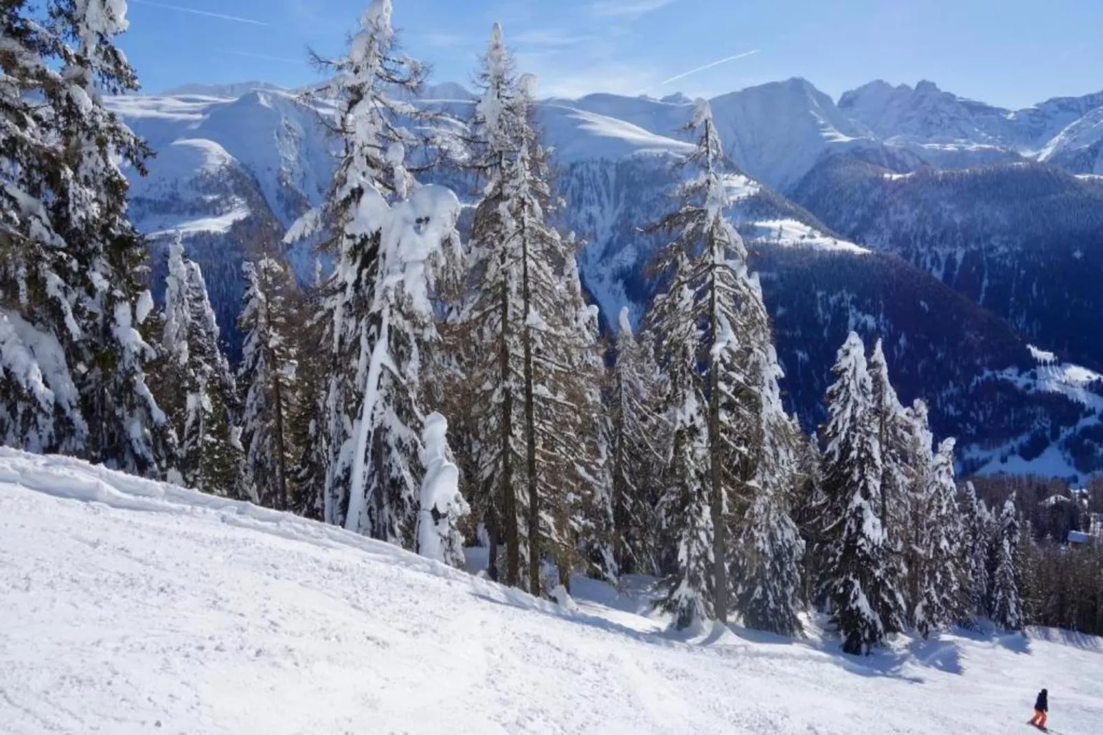 Bel Air-Gebied winter 5km