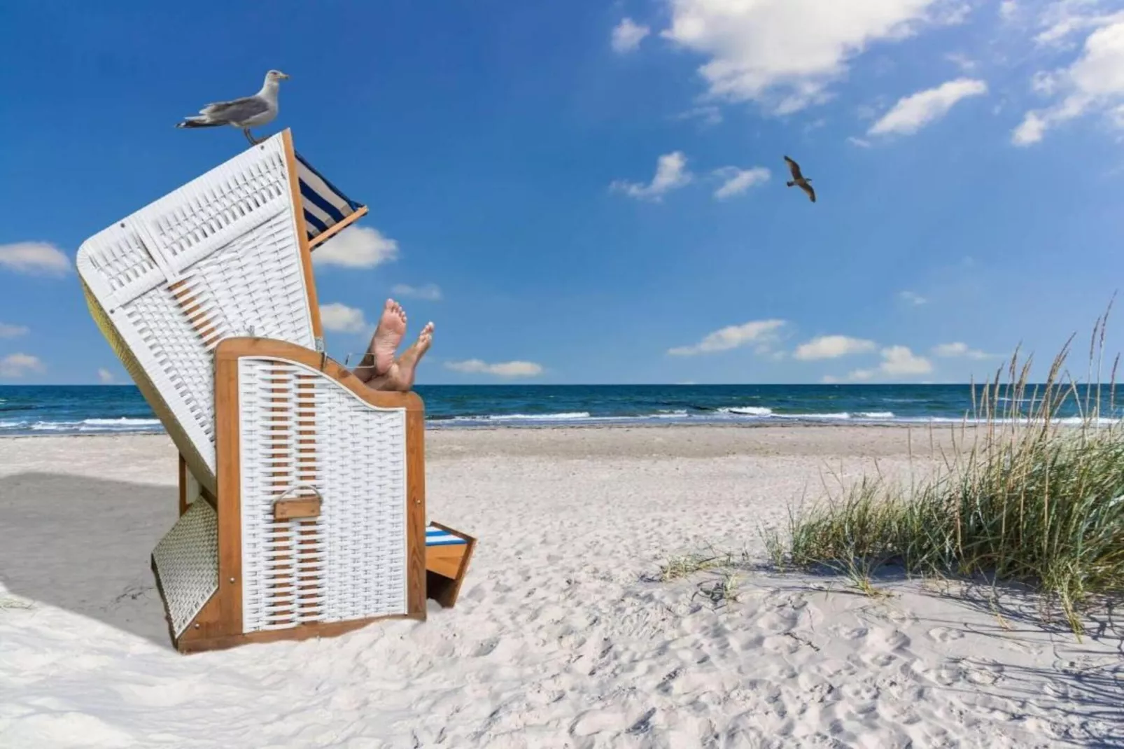 Ferienhaus Hansestadt Wismar ruhige Lage-Gebieden zomer 20km